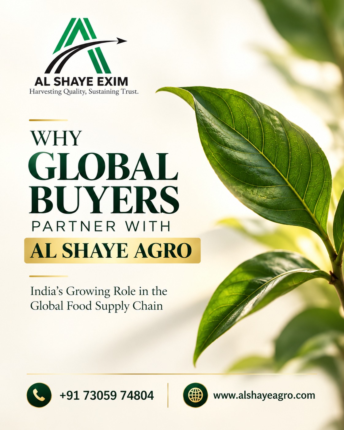 Why Global Buyers Partner with Al Shaye Agro: India’s Growing Role in the Global Food Supply Chain