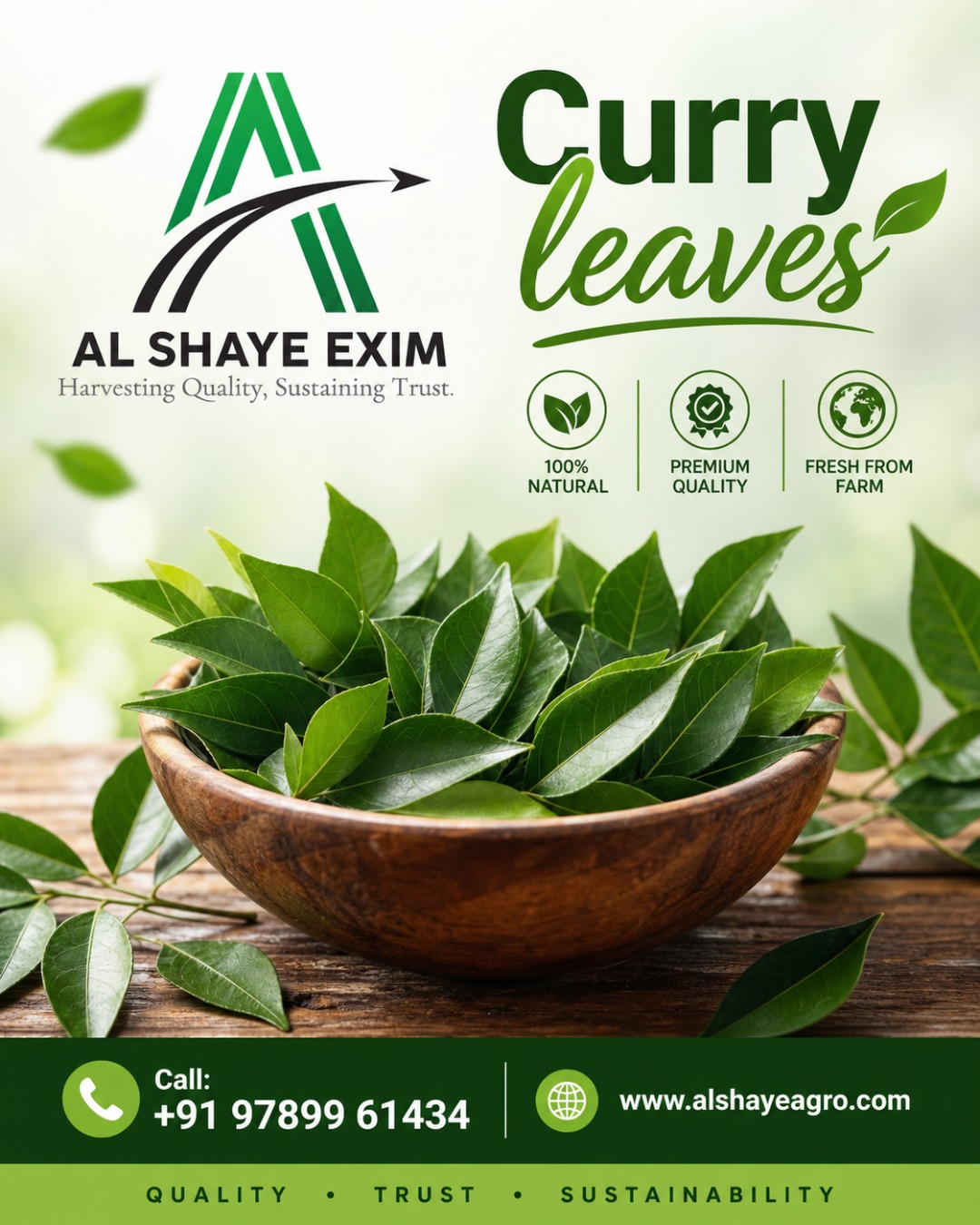 Premium Fresh Curry Leaves Supplier & Exporter