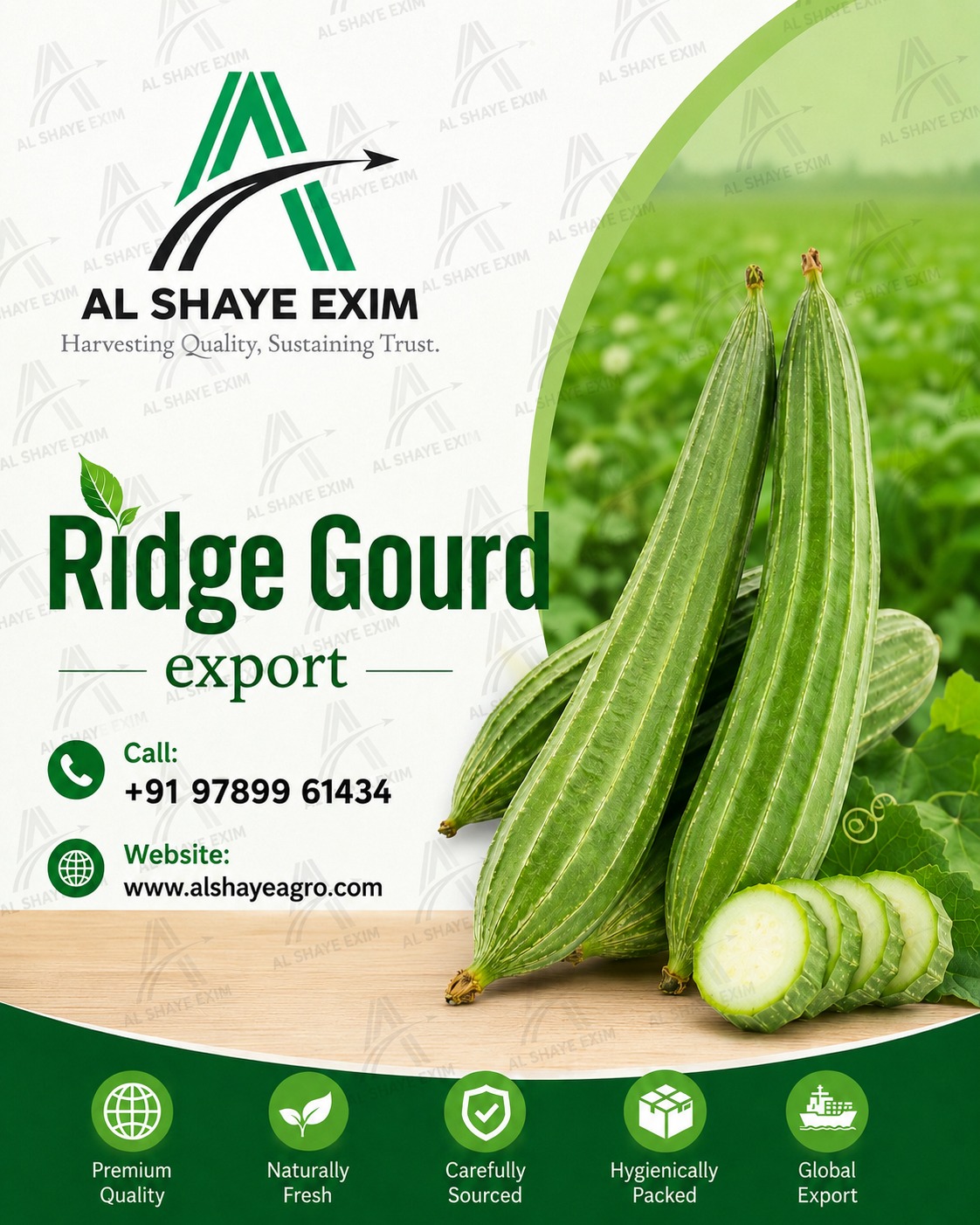 Experience the freshness of premium Ridge Gourd sourced directly from trusted farms.