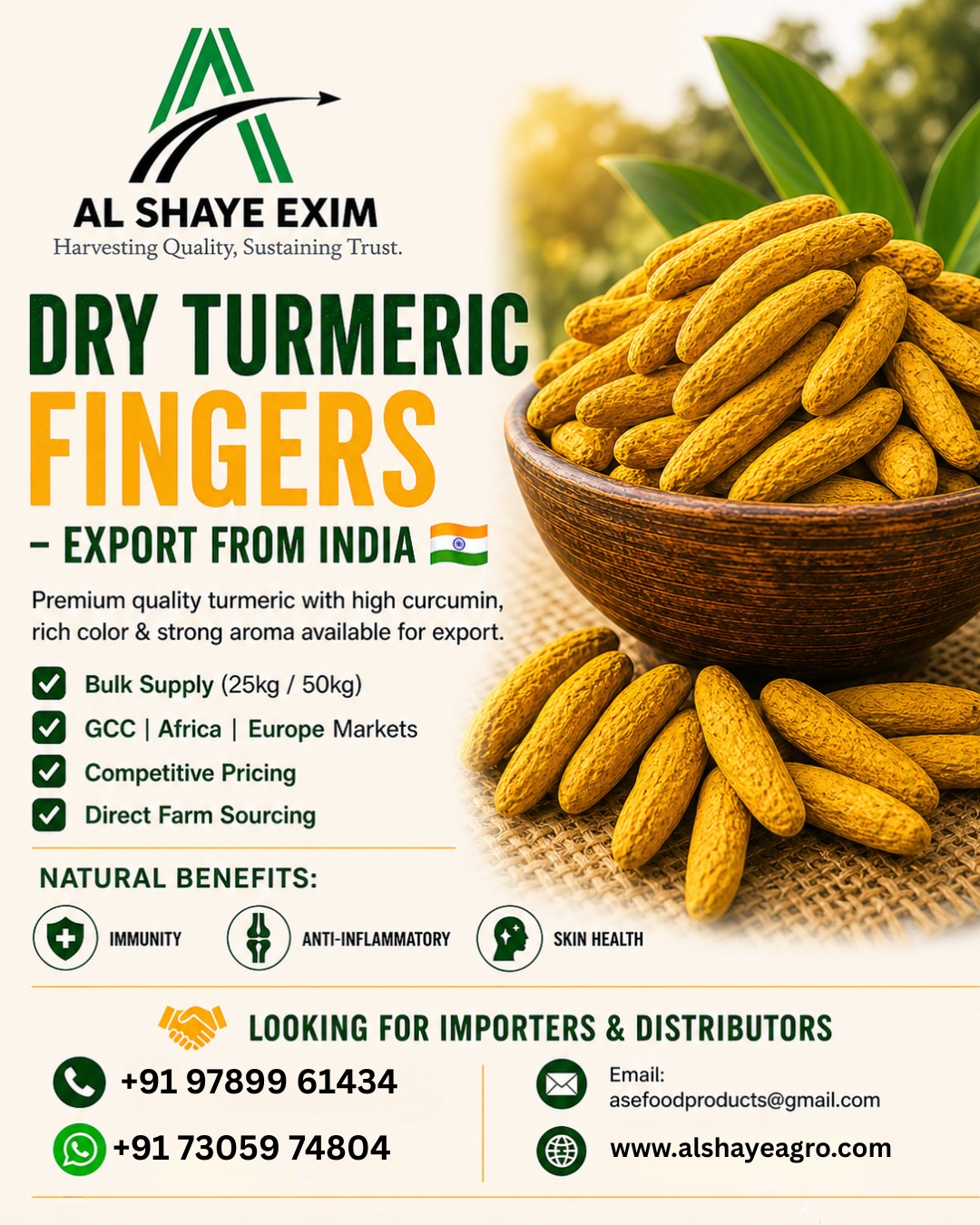 Premium Dry Turmeric Fingers Export from India