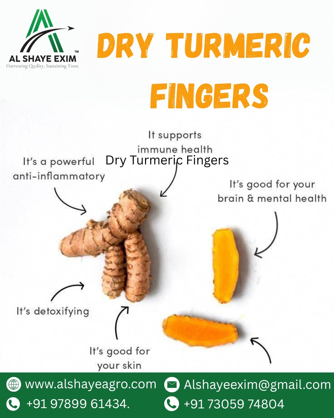 Power your health naturally with Premium Dry Turmeric Fingers 