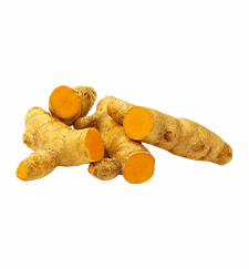 Indian turmeric