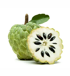 Custard Apple