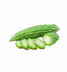 Bitter Gourd