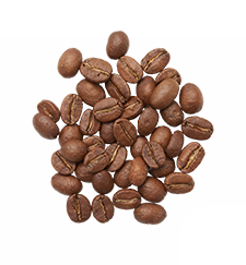 Arabica coffee bean