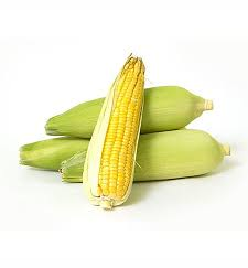 Sweet Corn